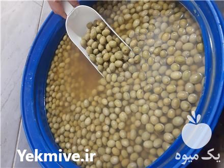 فروش زیتون در قدس در گروه خرید فروش عمده زیتون - سبز سیاه بندری پاکستانی طارم در یکمیوه -عکس1