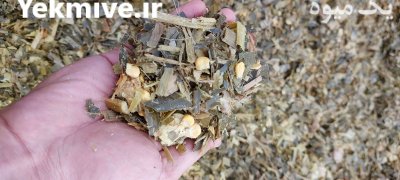 فروش ذرت علوفه ای بسته بندی و فله در تهران در گروه خوراک دام و طیور - پرواری شیری علوفه یونجه در یکمیوه -عکس1