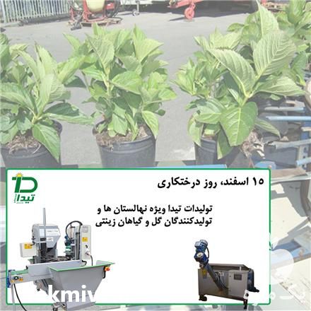 فروش گلدان پرکن گلخانه تیداپارس در کرج در گروه خرید فروش لوازم بسته بندی - انواع تجهیزات در یکمیوه -عکس1