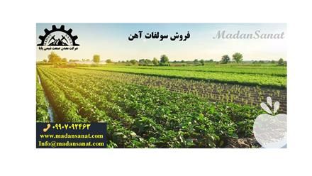 تولید و فروش سولفات آهن و کاربرد آن در کشاورزی در تهران در گروه خرید فروش کود و مواد شیمیایی - اوره پتاس مرغی کمپوست آهن در یکمیوه -عکس1