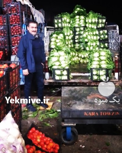 به چند باربارکن نیازمندیم در خوزستان در گروه حق العمل کاری محصولات کشاورزی و دامداری خدمات کارمزد در یکمیوه -عکس2