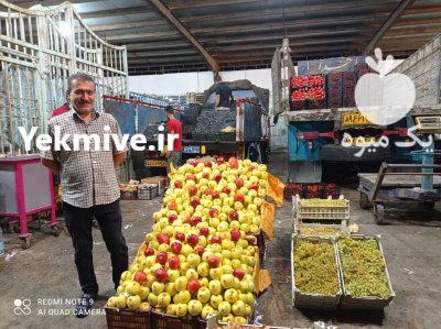 به چند باربارکن نیازمندیم در خوزستان در گروه حق العمل کاری محصولات کشاورزی و دامداری خدمات کارمزد در یکمیوه -عکس4