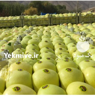 بارفروشی و حق العمل کاری در خوزستان در گروه حق العمل کاری محصولات کشاورزی و دامداری خدمات کارمزد در یکمیوه -عکس1