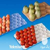 فروش شانه مقوایی میوه در تبریز در گروه خرید فروش انواع بسته بندی کاغذی - کارتن مقوا در یکمیوه