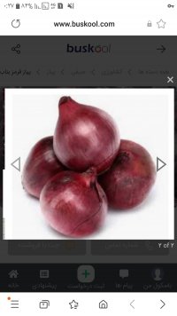 خرید و فروش عمده پیاز در مازندران در گروه خرید فروش عمده پیاز - قرمز سفید زرد ترشی تازه انباری در یکمیوه