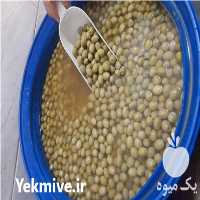 فروش زیتون در قدس در گروه خرید فروش عمده زیتون - سبز سیاه بندری پاکستانی طارم در یکمیوه