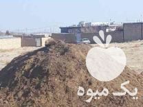 فروش کود خشک حیوانی در بوئین زهرا در گروه خرید فروش کود و مواد شیمیایی - اوره پتاس مرغی کمپوست آهن در یکمیوه -عکس1
