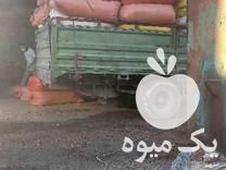 فروش خارشتر تمیز وکاه نرم در سمنان در گروه خوراک دام و طیور - پرواری شیری علوفه یونجه در یکمیوه -عکس1