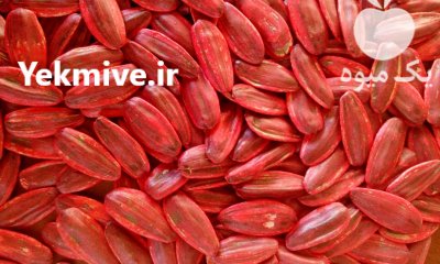 بذر آفتابگردان هیبرید کانادایی در خوی در گروه خرید فروش بذر - انواع محصول کشاورزی گوجه کتان میوه درخت در یکمیوه -عکس1