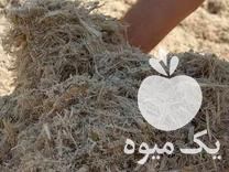 فروش باگاس نیشکر در شهرآباد در گروه دام سبک - خرید و فروش عمده جزیی در یکمیوه -عکس1