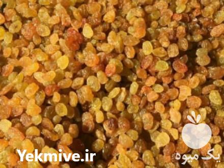 خرید و فروش کشمش طلایی در بناب در گروه آجیل - فروش عمده محصولات در یکمیوه -عکس1