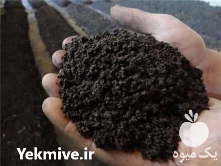 فروش کود کمپوست در شیراز در گروه خرید فروش کود و مواد شیمیایی - اوره پتاس مرغی کمپوست آهن در یکمیوه -عکس1