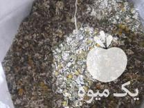 فروش گیاهان دارویی عرقیات سرکه سکنجبین در ارومیه در گروه عسل شیره و فرآورده ی مربا - طبیعی گون کوهی آویشن در یکمیوه -عکس1