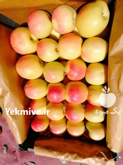 فروش سیب سوپر چهل چشمه تکاب در تهران در گروه خرید فروش عمده سیب - زرد و قرمز گلاب پاییزه در یکمیوه -عکس1