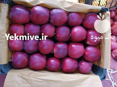 فروش سیب سوپر چهل چشمه تکاب در تهران در گروه خرید فروش عمده سیب - زرد و قرمز گلاب پاییزه در یکمیوه -عکس3
