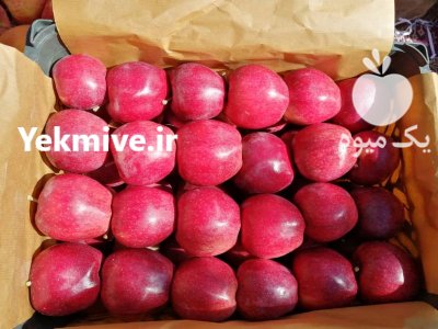 فروش سیب سوپر چهل چشمه تکاب در تهران در گروه خرید فروش عمده سیب - زرد و قرمز گلاب پاییزه در یکمیوه -عکس4