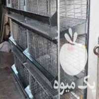 فروش قفس یک تا سه طبقه مرغ تخمگذار در پاکدشت در گروه تجهیزات دام و طیور - خرید فروش نو دسته دوم در یکمیوه