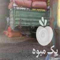 فروش خارشتر تمیز وکاه نرم در سمنان در گروه خوراک دام و طیور - پرواری شیری علوفه یونجه در یکمیوه