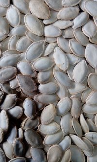 تخمه کدو آجیلی درجه یک خوی در آذربایجان غربی در گروه آجیل - فروش عمده محصولات در یکمیوه