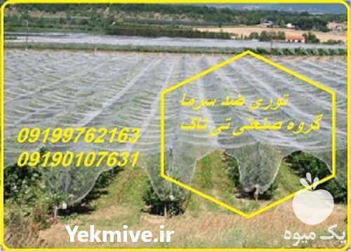 فروش توری ضد سرما در اصفهان در گروه خرید فروش انواع پوشش ها و ورق ها - پلی استر پلی کربنات نایلون در یکمیوه -عکس1