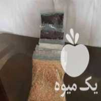 فروشگاه ملزومات نگهداری گیاهان آپارتمانی با قیمت مناسب در ساری در گروه خرید فروش عمده گیاهان زینتی - گرمسیری آپارتمانی باغچه آب در یکمیوه