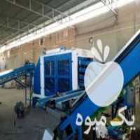 فروش دستگاه سورتینگ نایلون پیچ در آمل در گروه خرید فروش لوازم بسته بندی - انواع تجهیزات در یکمیوه