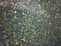 فروش مواد آسیابی سبد در قدس در گروه خرید فروش انواع سبد - میوه پلاستیکی چوبی گل در یکمیوه