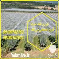 فروش توری ضد سرما در اصفهان در گروه خرید فروش انواع پوشش ها و ورق ها - پلی استر پلی کربنات نایلون در یکمیوه