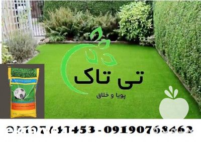 فروش بذر چمن در تهران در گروه خرید فروش بذر - انواع محصول کشاورزی گوجه کتان میوه درخت در یکمیوه -عکس1