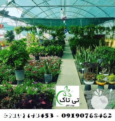 فروش توری شید گلخانه در تهران در گروه خرید فروش انواع پوشش ها و ورق ها - پلی استر پلی کربنات نایلون در یکمیوه -عکس1