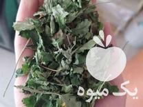 فروش عمده گیاهان دارویی مستقیم از کشاورز در اصفهان در گروه خرید فروش عمده گیاهان دارویی - معطر خشک خواص دار در یکمیوه -عکس1