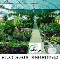 فروش توری شید گلخانه در تهران در گروه خرید فروش انواع پوشش ها و ورق ها - پلی استر پلی کربنات نایلون در یکمیوه
