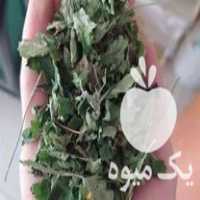 فروش عمده گیاهان دارویی مستقیم از کشاورز در اصفهان در گروه خرید فروش عمده گیاهان دارویی - معطر خشک خواص دار در یکمیوه