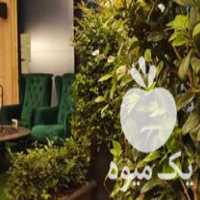 فروش تولید و توزیع انواع گل و گیاه بیرونی در تهران در گروه خرید فروش عمده گیاهان زینتی - گرمسیری آپارتمانی باغچه آب در یکمیوه