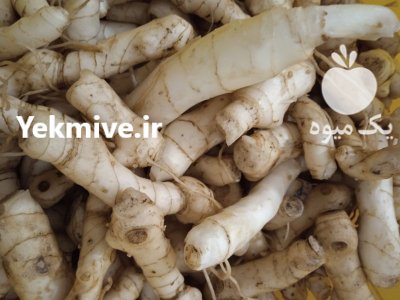 فروش شقاقل تازه به صورت عمده در اردبیل در گروه سایر محصولات فرنگی فروش عمده در یکمیوه -عکس1