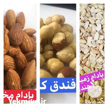 فروش انواع مغز های کره گیری در تهران در گروه انواع خشکبار - فروش مغز دانه فروش عمده در یکمیوه -عکس1