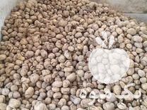 فروش سیب زمینی شلغم دامی خوراک دام در اصفهان در گروه خرید فروش عمده شلغم - تازه خام محصولات کشاورزی در یکمیوه -عکس1