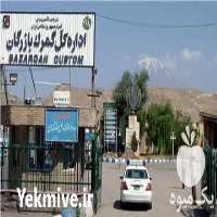 ثبت سفارش و ترخیص کالا از گمرک بازرگان در آذربایجان غربی در گروه ترخیص کالا - گمرک خارجی واردات در یکمیوه