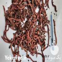 فروش ظرف نگهداری پرورش کرم خاکی در تهران در گروه سایر بسته بندی محصول در یکمیوه