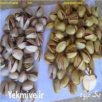 فروش پسته اعلاء Pistachio for sale در تهران در گروه پسته - کوهی شامی خام اکبری تازه کله قوچی در یکمیوه