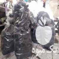 فروش ذغال لیمو و سیب سکه و مجلسی در مشهد در گروه خرید فروش عمده چوب- زغال چوب گردو تبریزی خام در یکمیوه