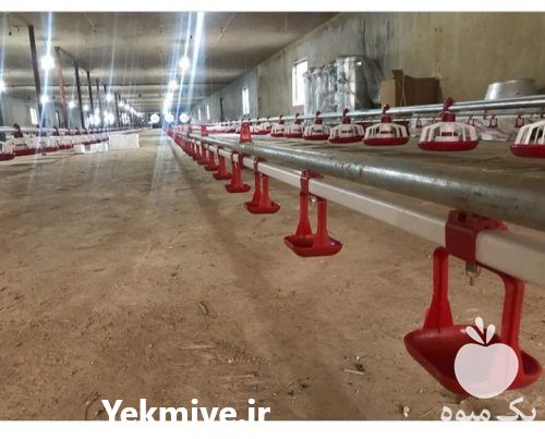 فروش آبخوری نیپل استیل ترک مرغداری گوشتی در تهران در گروه تجهیزات دام و طیور - خرید فروش نو دسته دوم در یکمیوه -عکس1