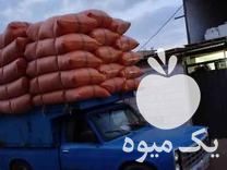 خرید و فروش کاه گندم جو و انواع کاه لوبیا با قیمت مناسب در لاهیجان در گروه خوراک دام و طیور - پرواری شیری علوفه یونجه در یکمیوه -عکس1