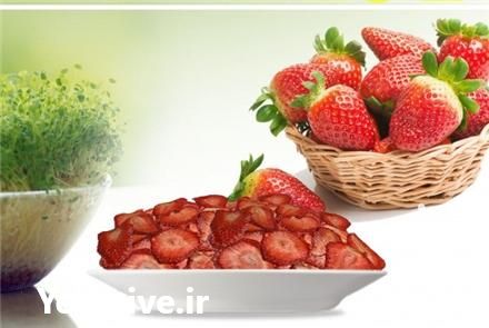 تولید و فروش میوه خشک توت فرنگی ممتاز در قزوین در گروه میوه های خشک - پرتقال سیب حبه ورق صنعتی خانگی در یکمیوه -عکس1