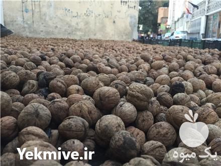 فروش گردو و مغز گردو تویسرکان در همدان در گروه گردو - کاغذی سنگی سوزنی خوشه ای توسرکان در یکمیوه -عکس1