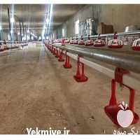 فروش آبخوری نیپل استیل ترک مرغداری گوشتی در تهران در گروه تجهیزات دام و طیور - خرید فروش نو دسته دوم در یکمیوه