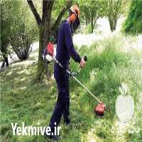 فروش علف زن دوشی 4 زمانه در فارس در گروه خرید فروش ابزار ها و تجهیزات کشاورزی - دستی برقی ماشینی بیل کلنگ در یکمیوه