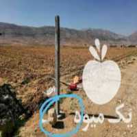 فروش تیرچه باغ باغی پایه بتنی فنس ستون سیمانی تیر تیرک بتونی در تاکستان در گروه خرید فروش لوازم باغبانی - خرید فروش نو دست دوم در یکمیوه