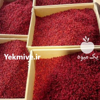 فروش انواع زرشک امسالی در اردبیل در گروه خرید و فروش زرشک در یکمیوه -عکس2