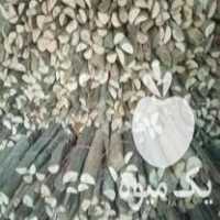 فروش چوب بسته بندی هیزمی در مهاباد در گروه خرید فروش عمده چوب- زغال چوب گردو تبریزی خام در یکمیوه